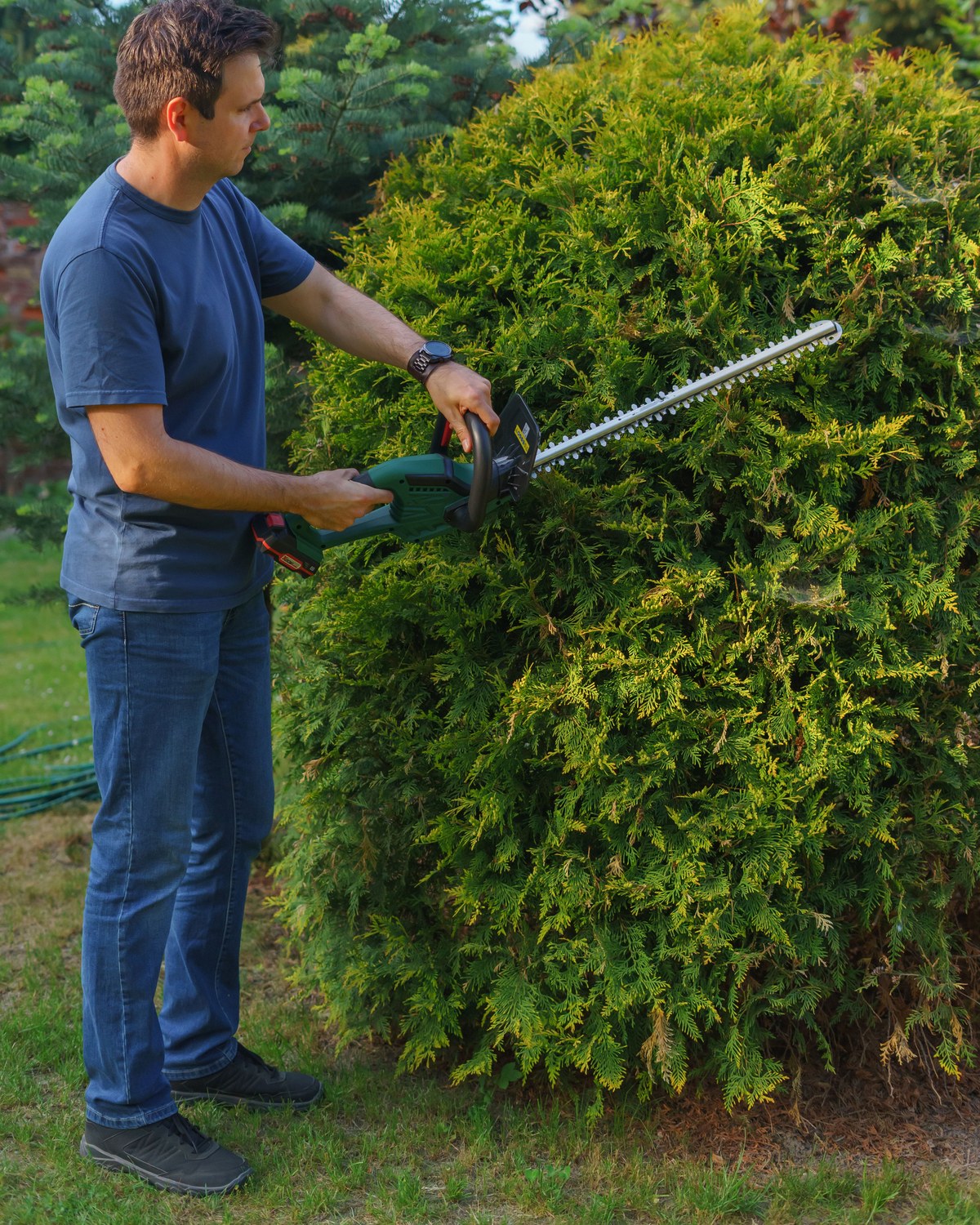 Hedges & Cleanups
