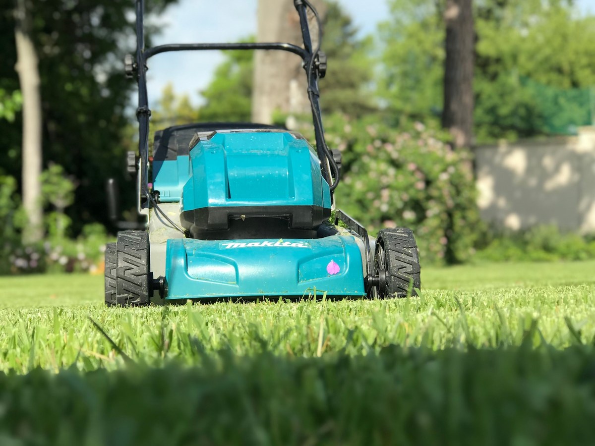 Lawn & Turf Care