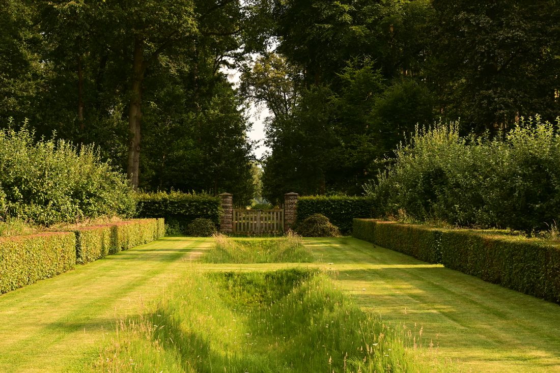Hedges kept crisp